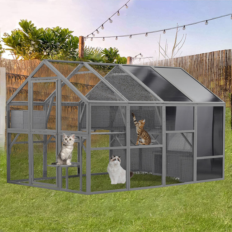 Large cat cheap enclosures